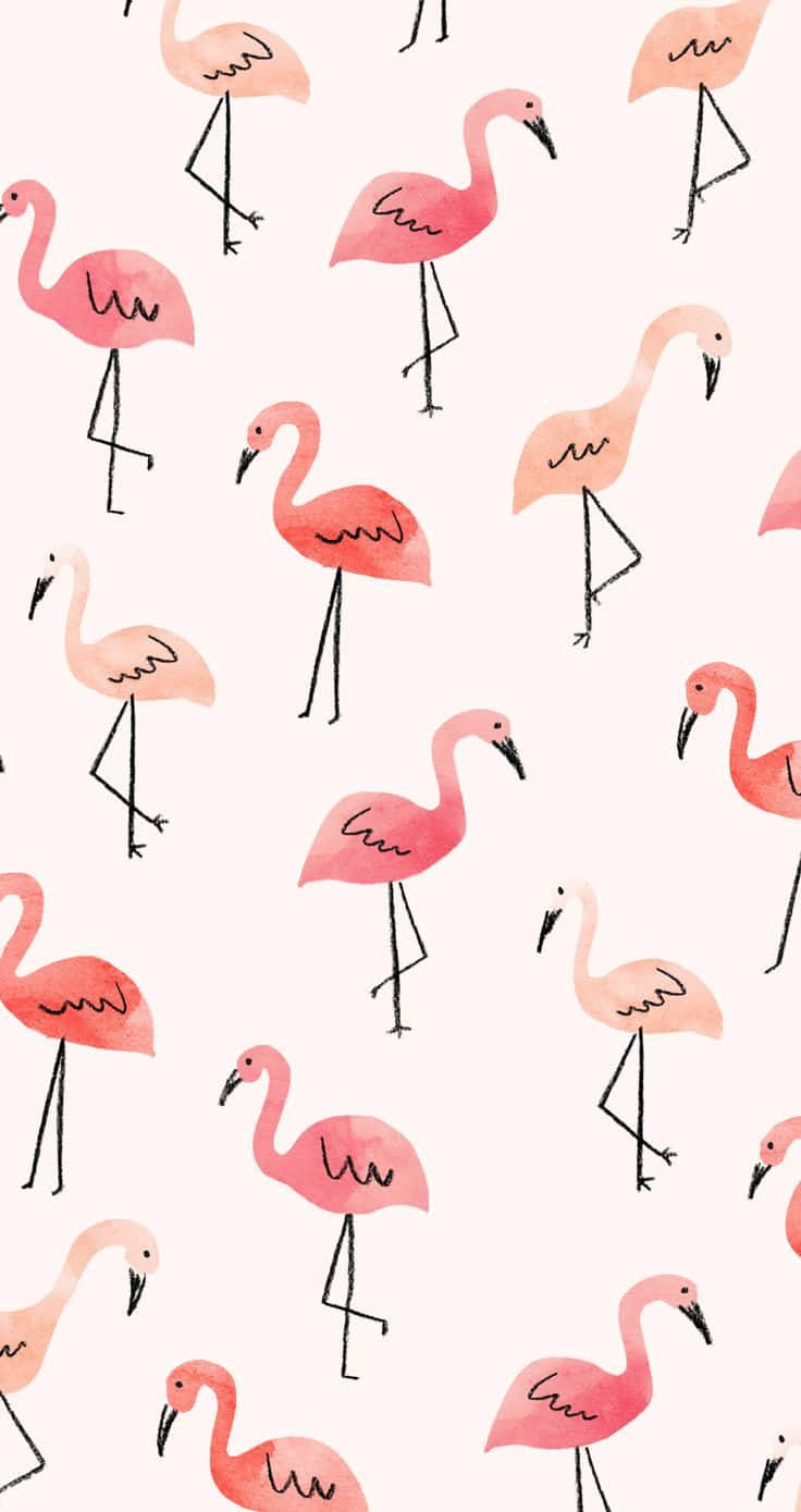 Cute Pink Flamingoes On A White Background