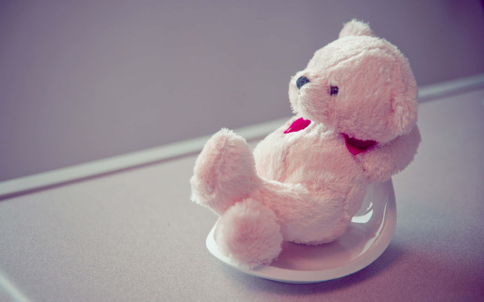 Cute Background Of White Teddy Bear Plushie