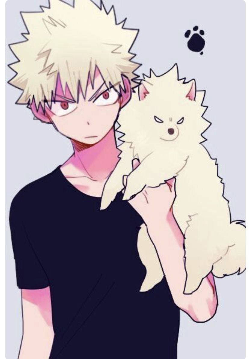 Cute Bakugo Holding Dog Wallpaper