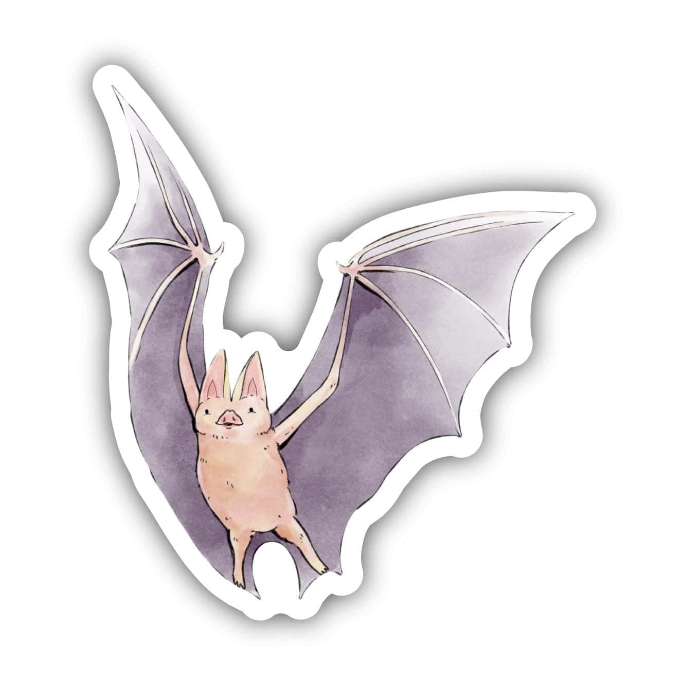 Bat Pictures