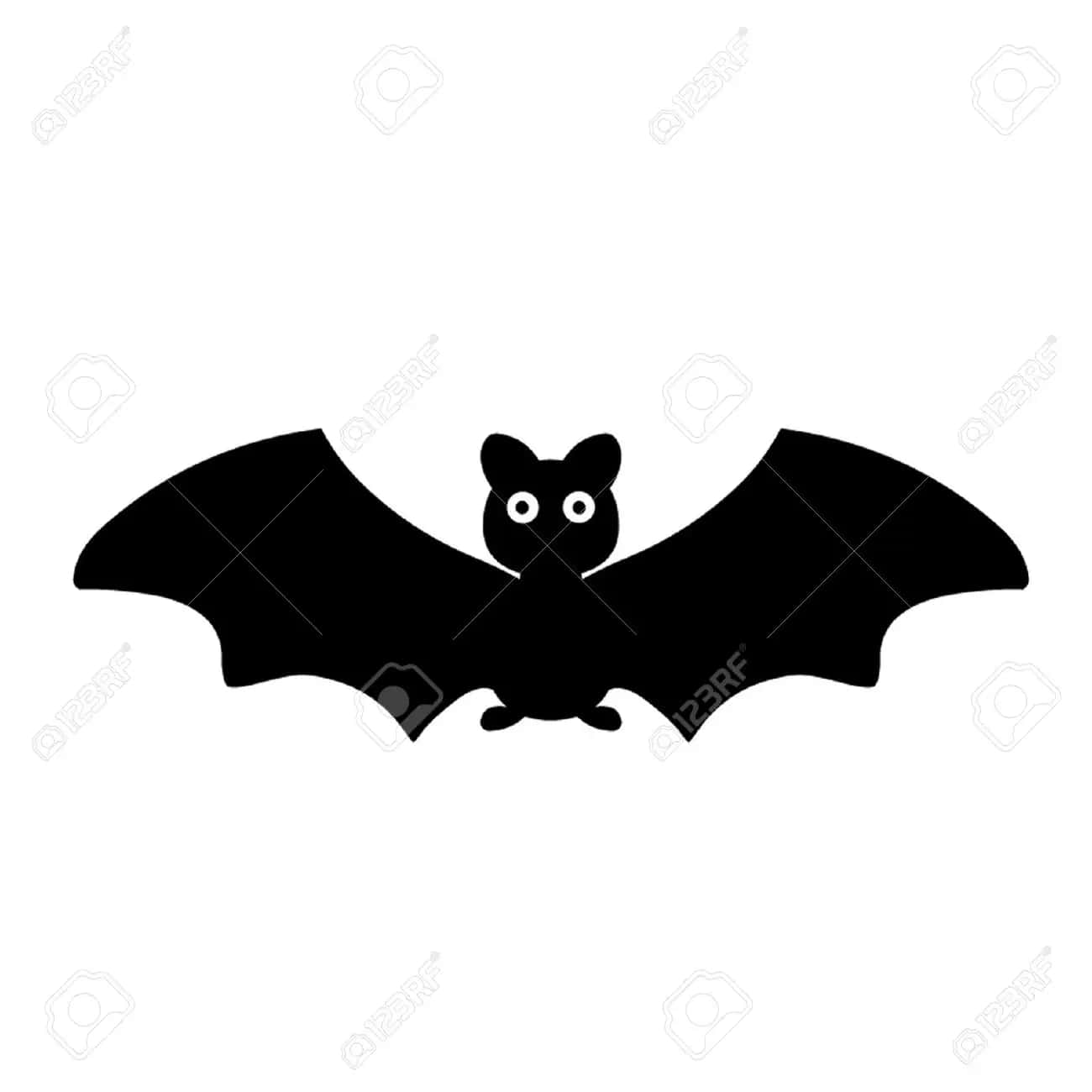 Cute Black Bat Pictures