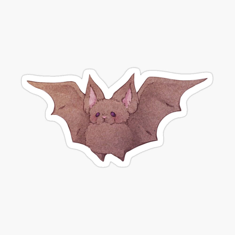 Cute Bat Billeder 1000 X 1000