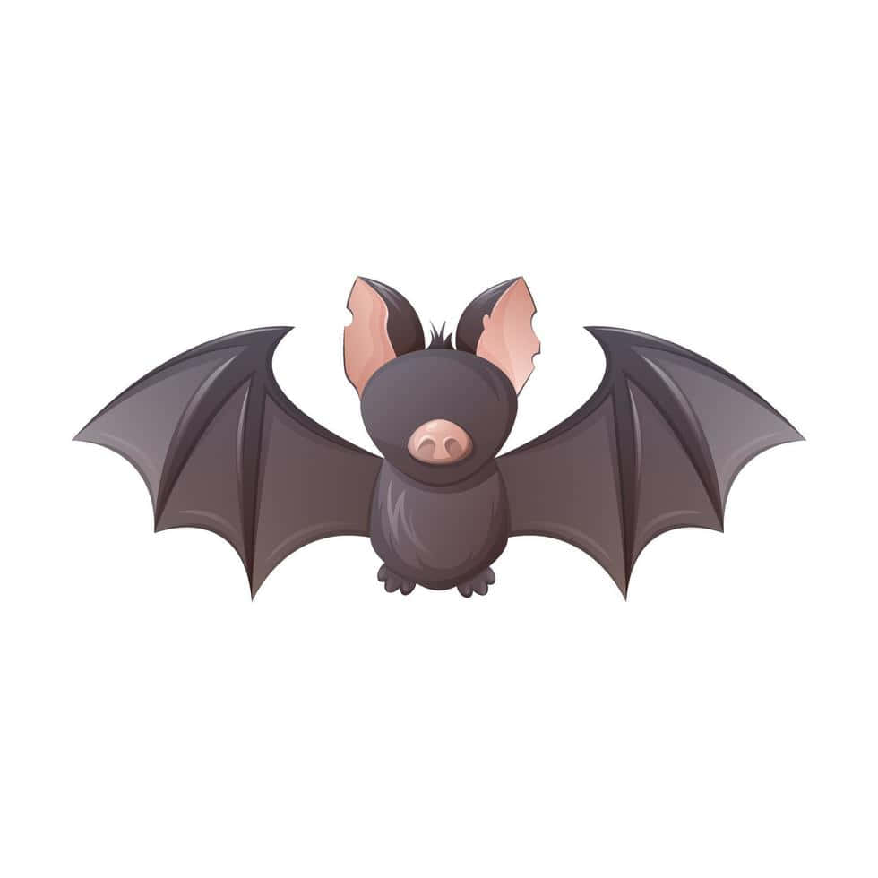 Cute Bat Pig Pictures