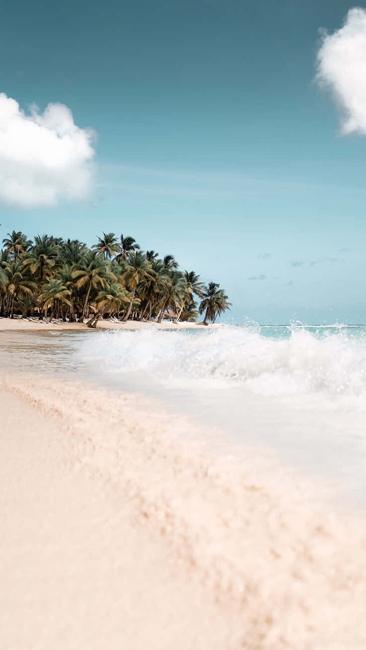 a beach with palm trees and waves Wallpaper