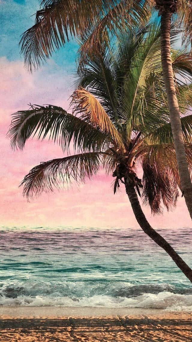 Download Cute Beach Iphone Wallpaper 