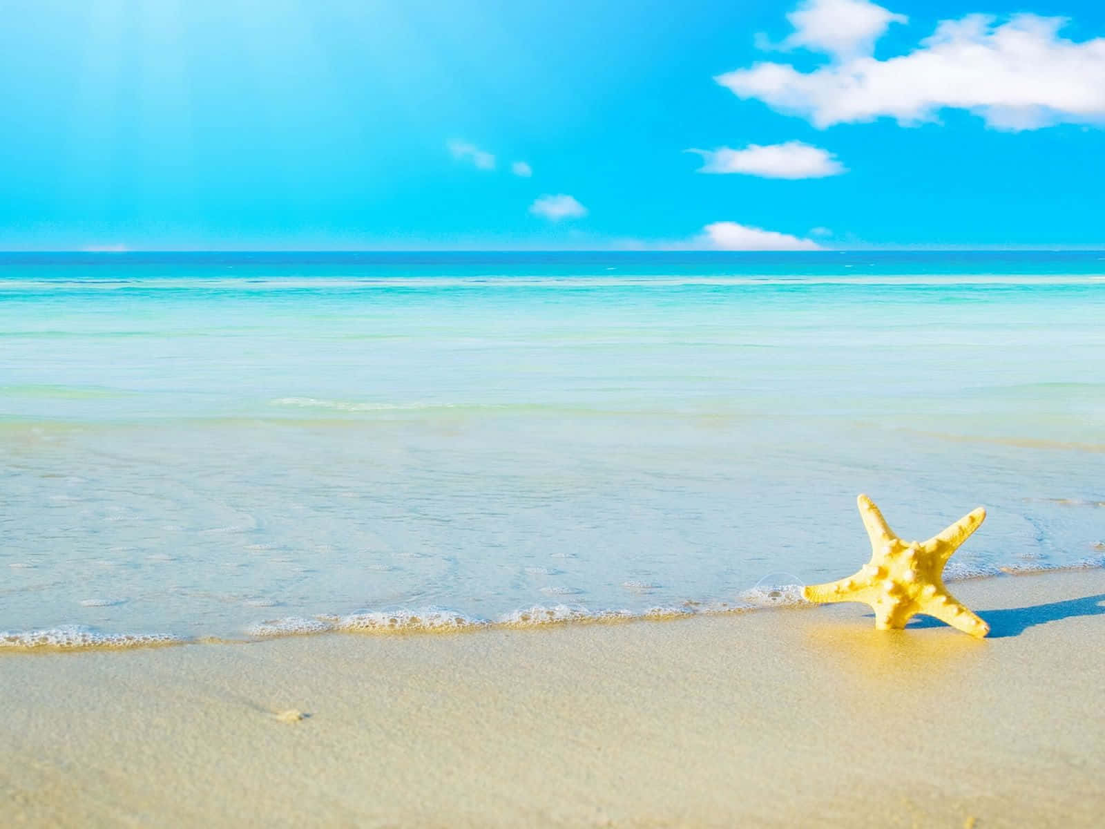 Cute Beach With Star Fish Wallpaper