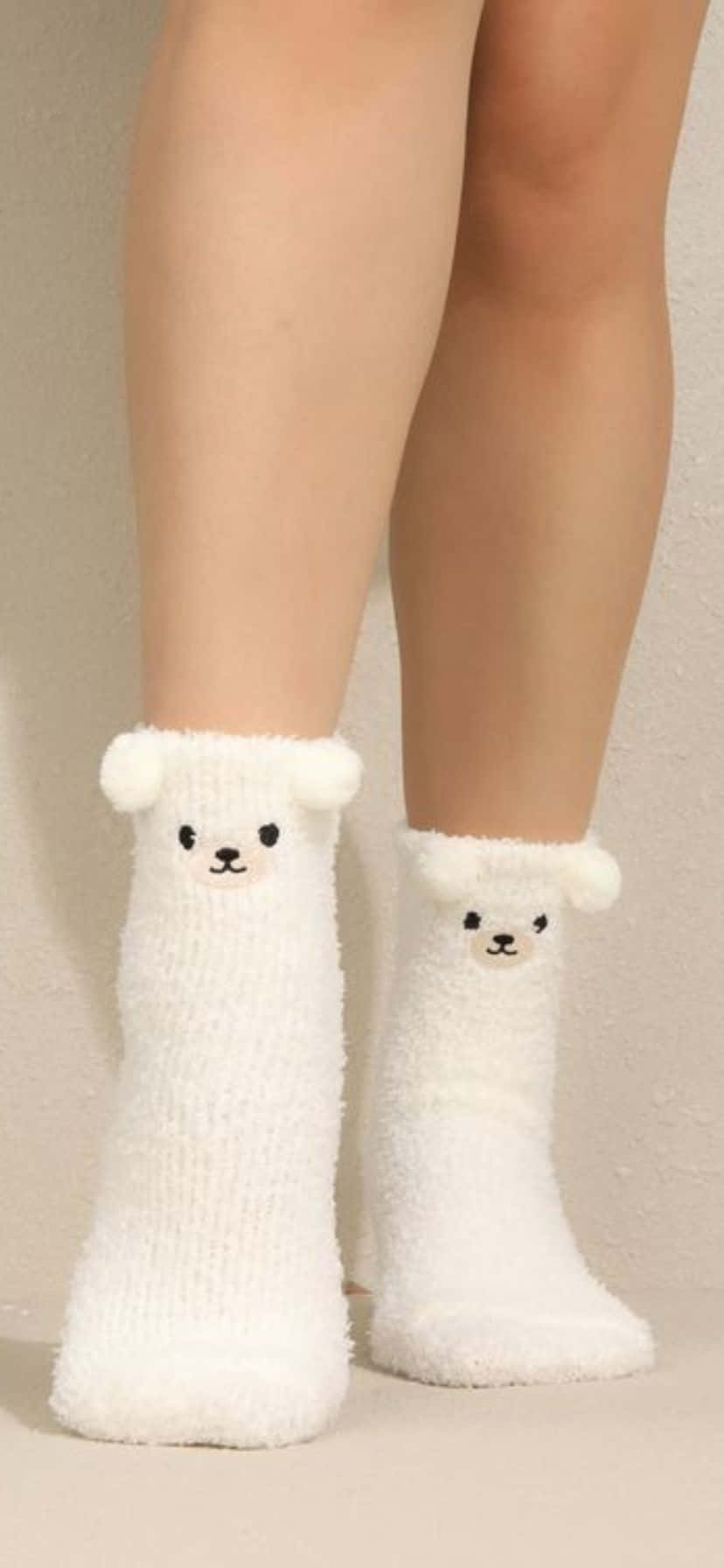 Cute Bear Face Socks Wallpaper