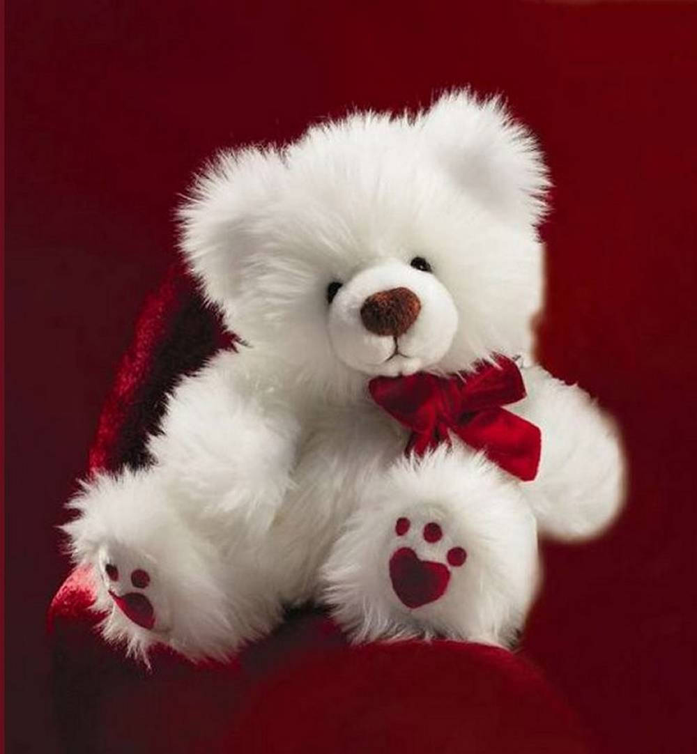 white teddy bear with heart wallpaper