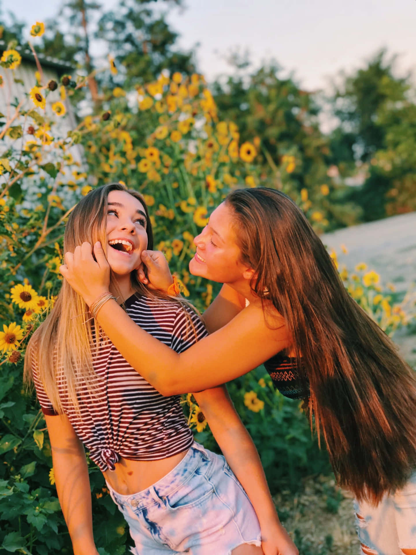 Cute Bff Pinching With Sunflower Picture