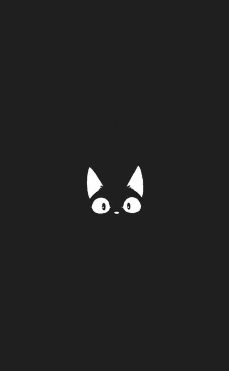 Cute Black And White Aesthetic Anime Cat Wallpaper