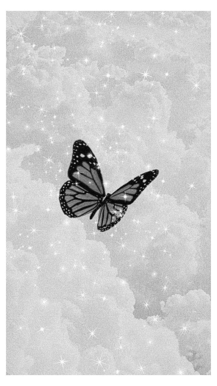 Cute Black And White Aesthetic Butterfly In Sparkly Sky Wallpaper