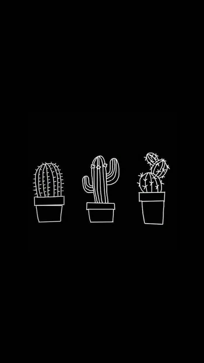 Cute Black And White Aesthetic Cactus Drawings Background