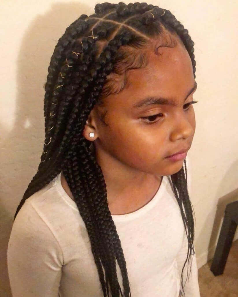 A Little Girl With Long Braids In Her Hair