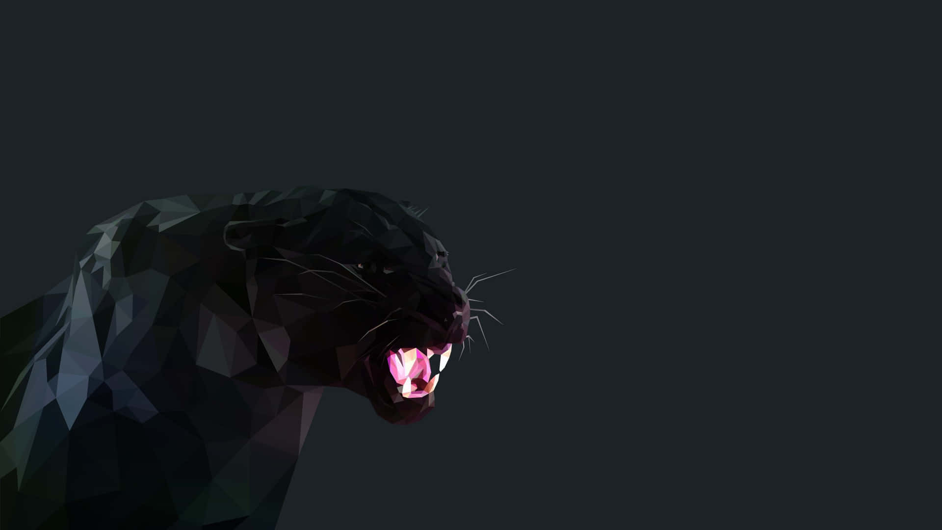 A Cute Black Panther Looking Forward Wallpaper
