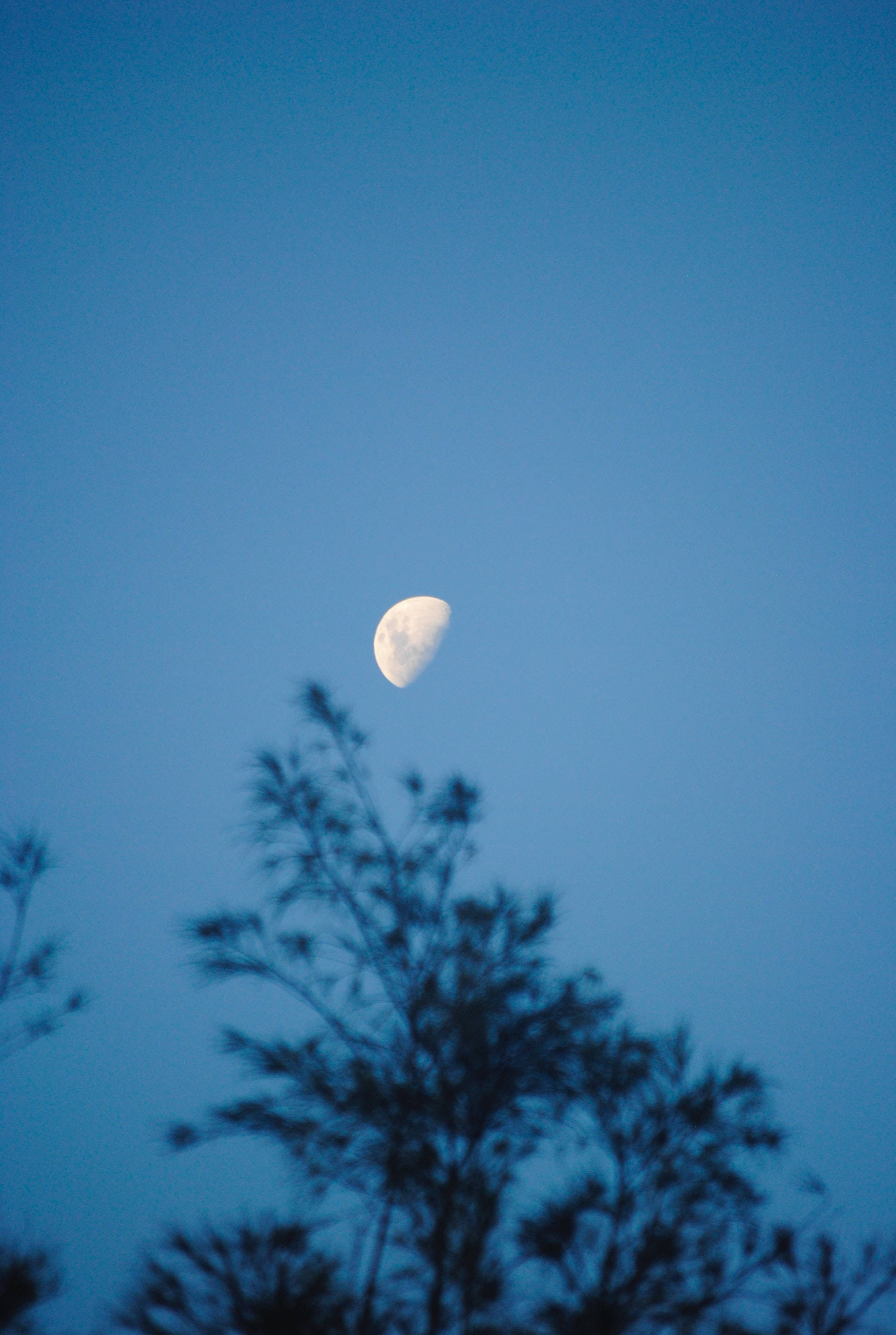Cute Blue Aesthetic Sky And Half Moon Wallpaper