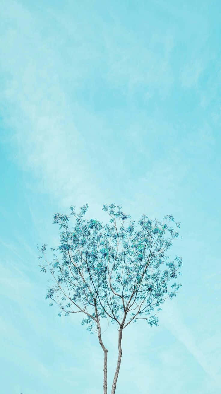 En enkelt træ midt i en græsplæne Wallpaper