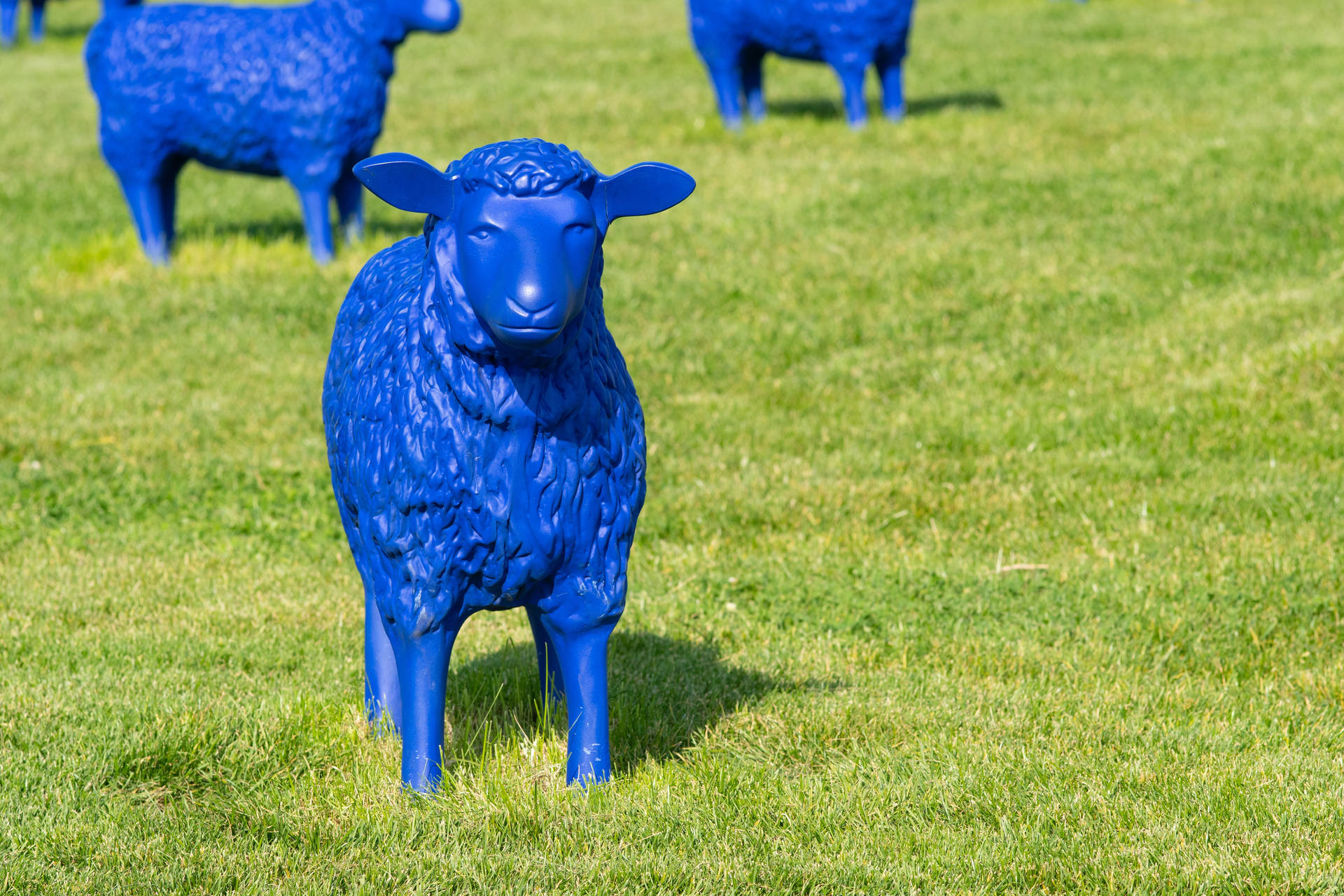 Cute Blue Sheep Statue Wallpaper