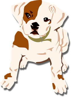 Cute Boxer Puppy Illustration PNG
