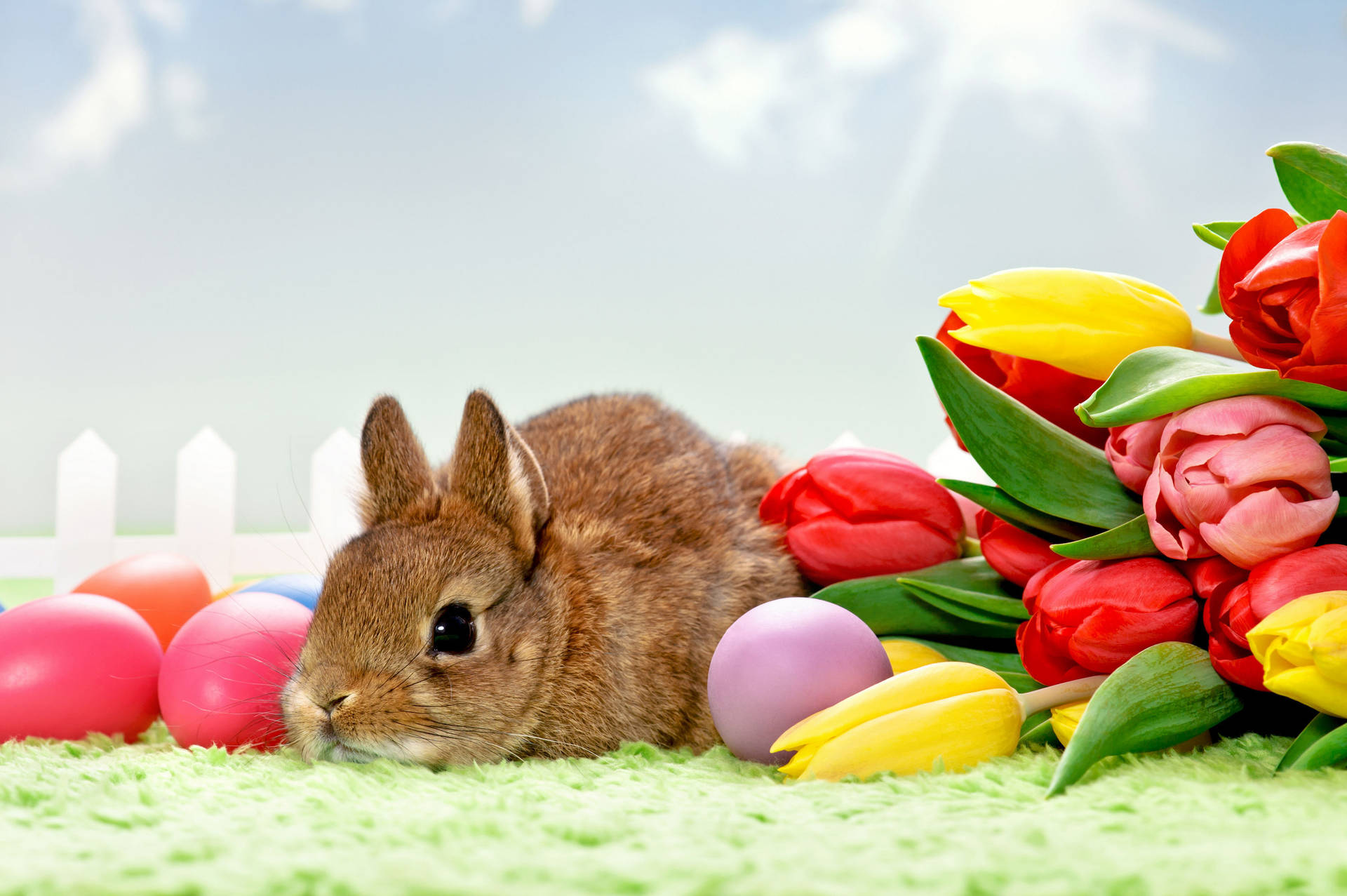 Cute Brown Easter Bunny Wallpaper