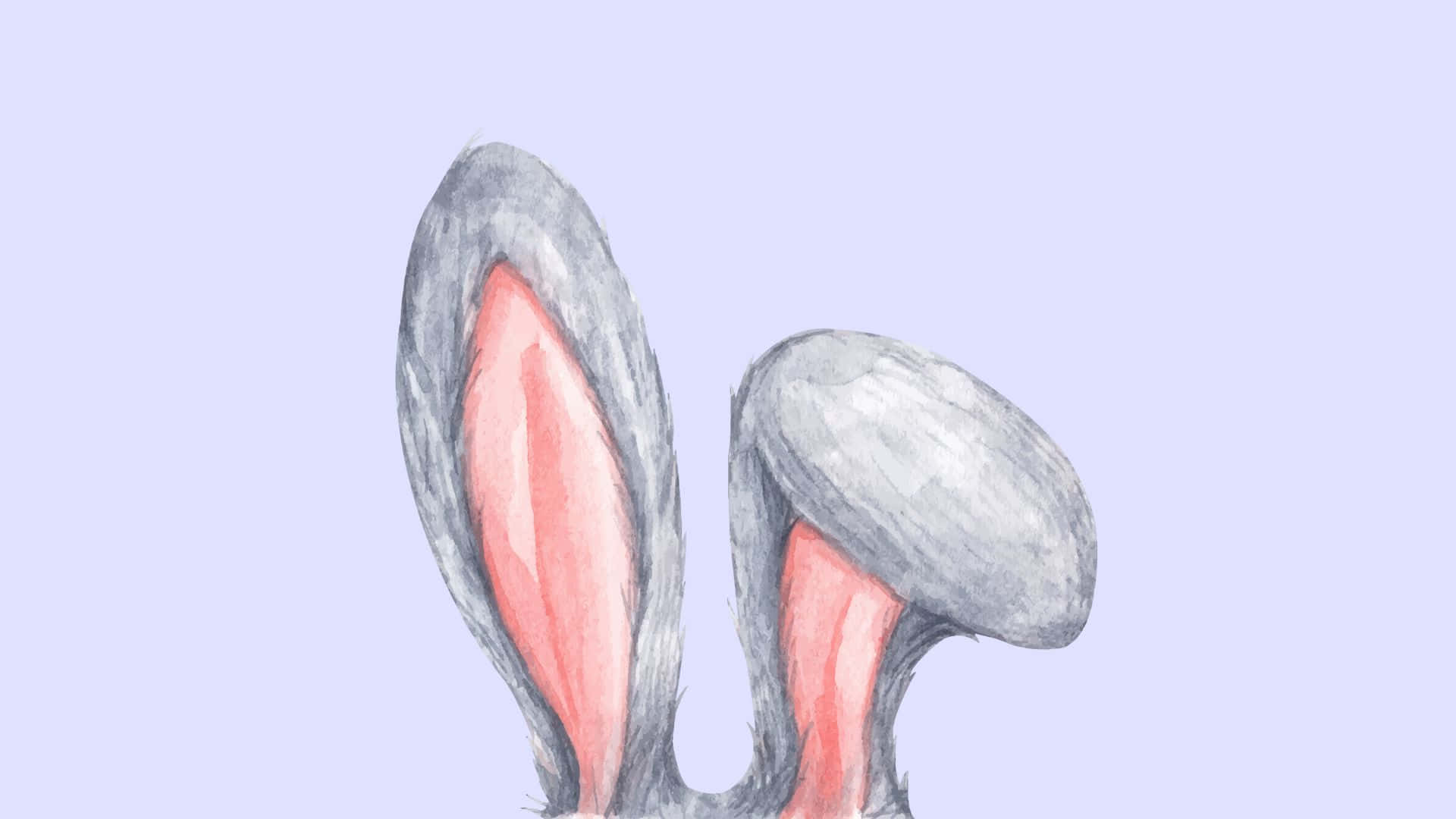 Cute Bunny Ears Illustration Wallpaper