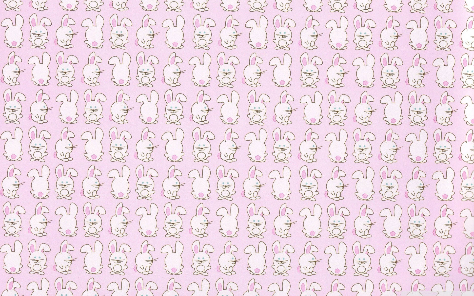 Sød Kanin I Forskellige Perspektiver Wallpaper