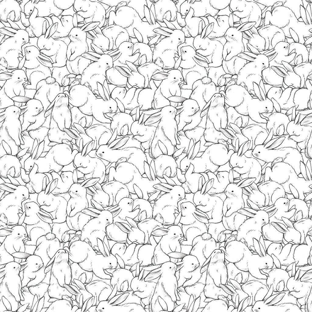 Download Cute Bunny Line Drawings Wallpaper
