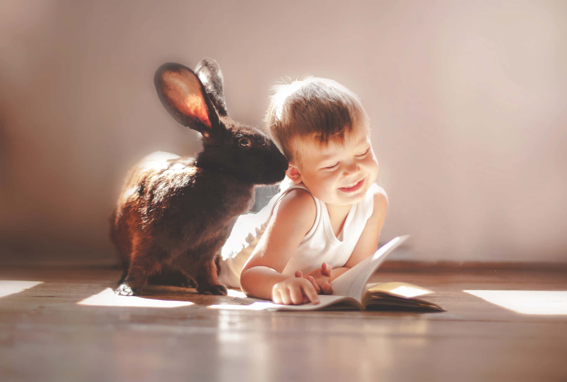 These two cuddly bunny rabbits are friends forever Wallpaper