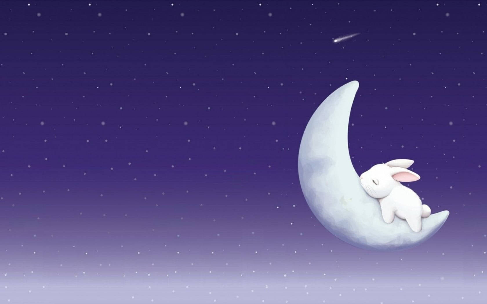 Download Cute Bunny Sleeping On Moon Wallpaper 