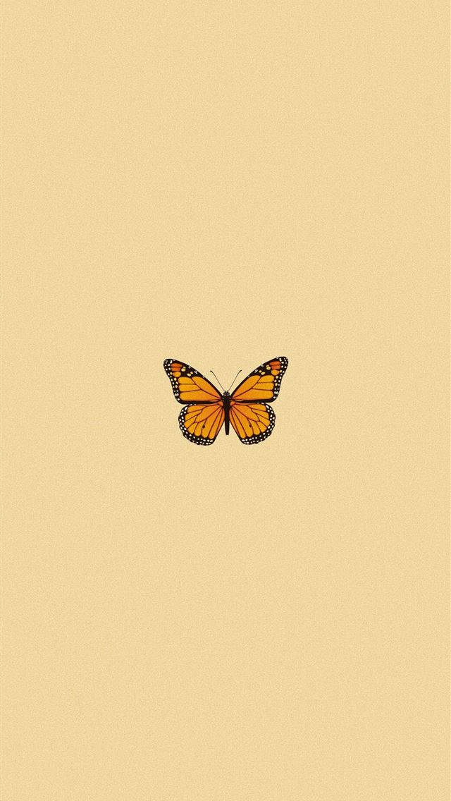 Cute Butterfly Original iPhone 4 Wallpaper
