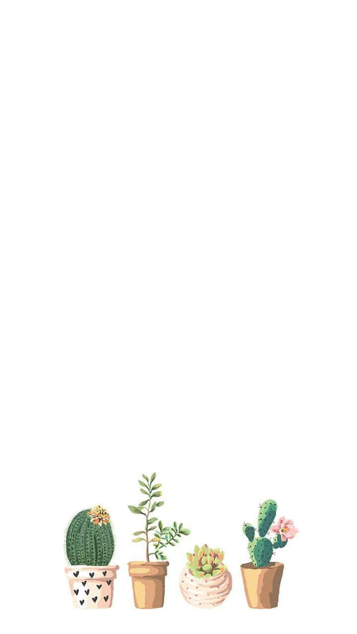 Minimalistisk sød kaktusmotivmaleri Wallpaper