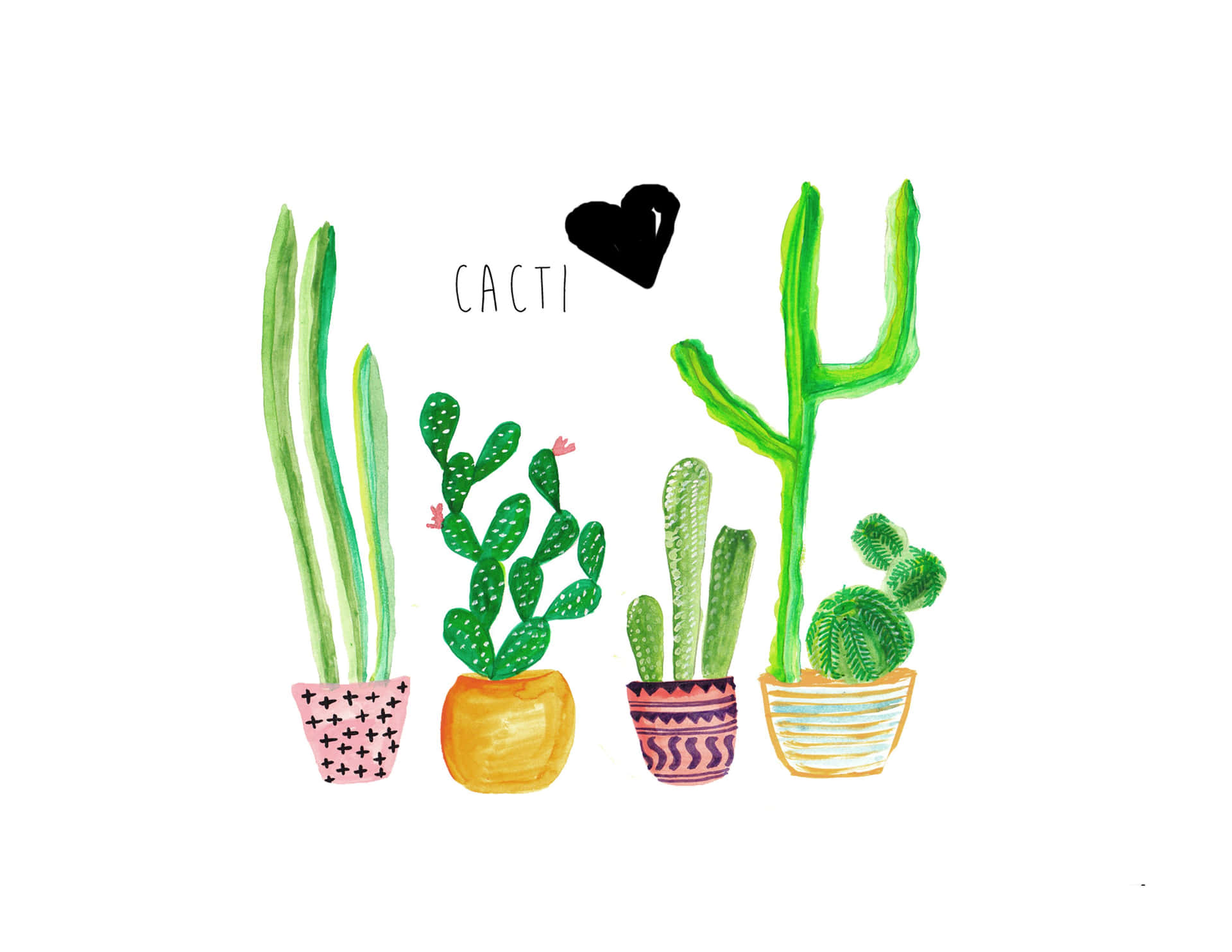 A cute, green cactus against a blue sky. Wallpaper