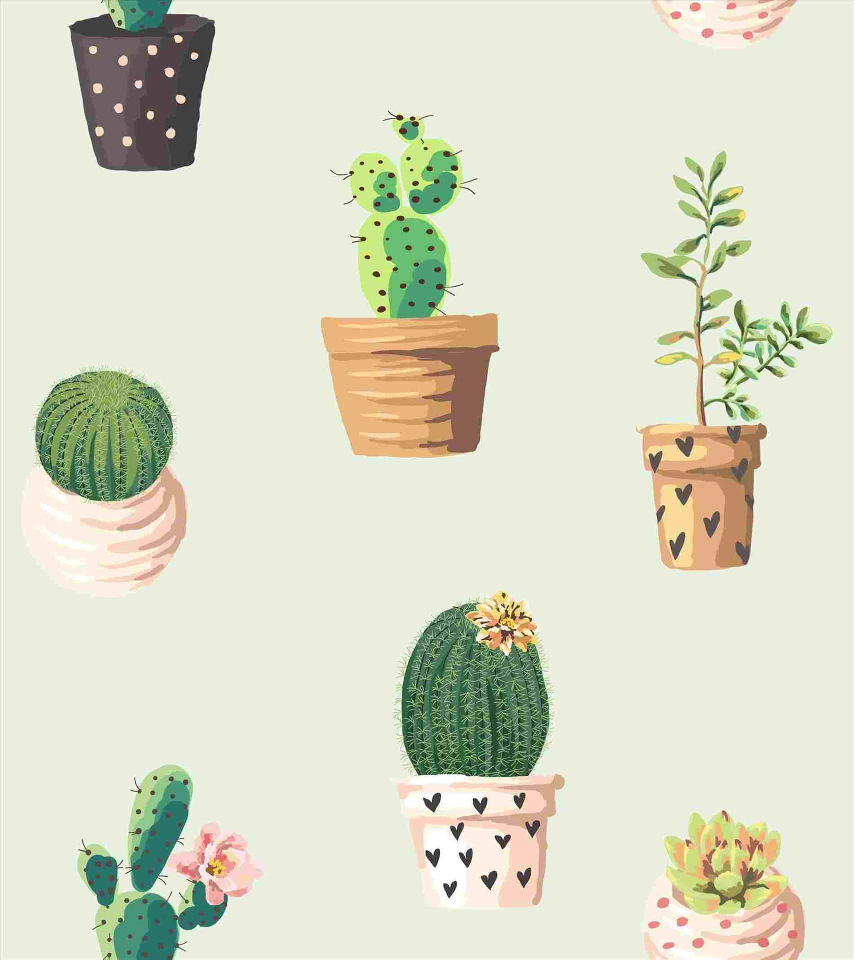 Einetapete Mit Kaktuspflanzen In Töpfen Wallpaper