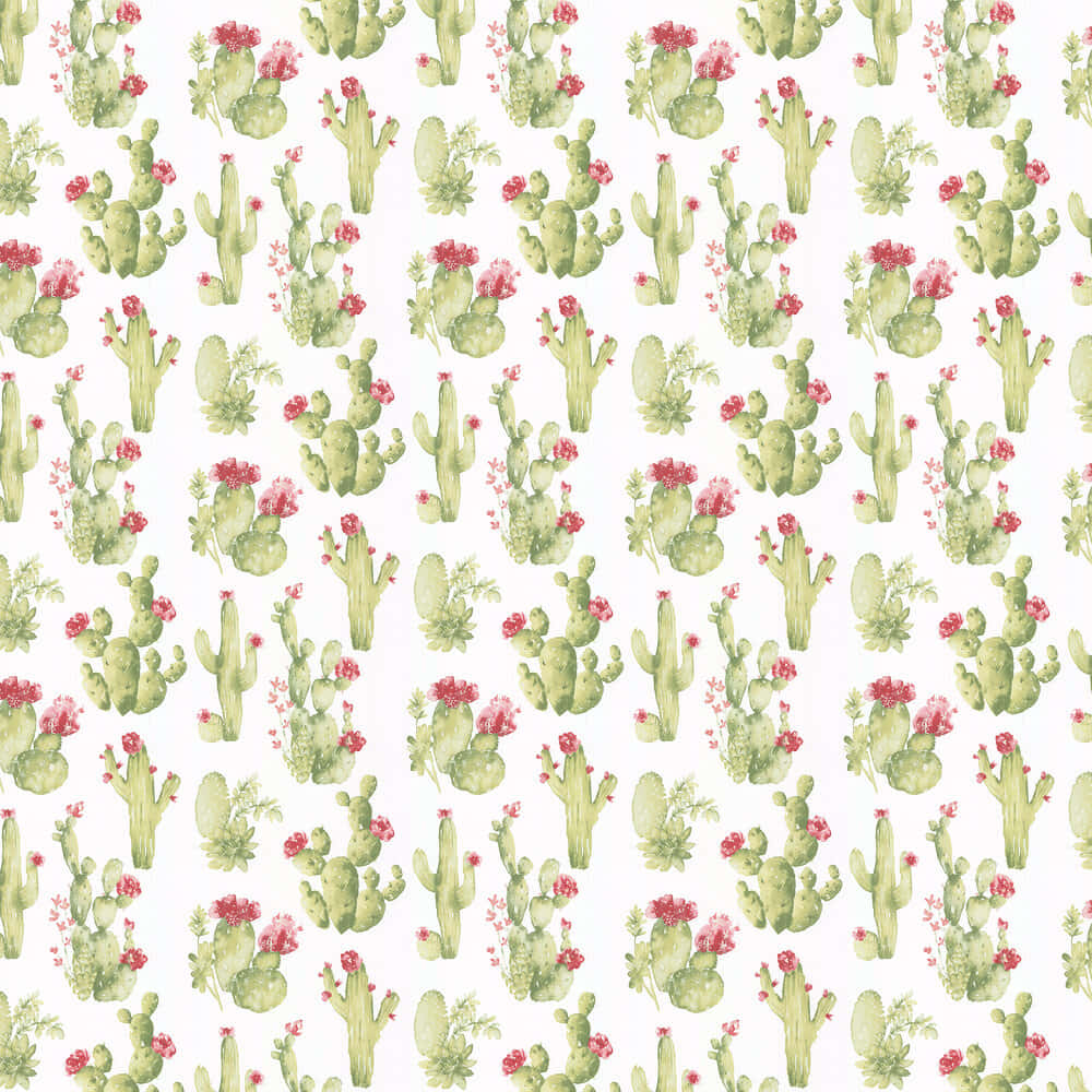 Cute Cactus Flower Wallpaper