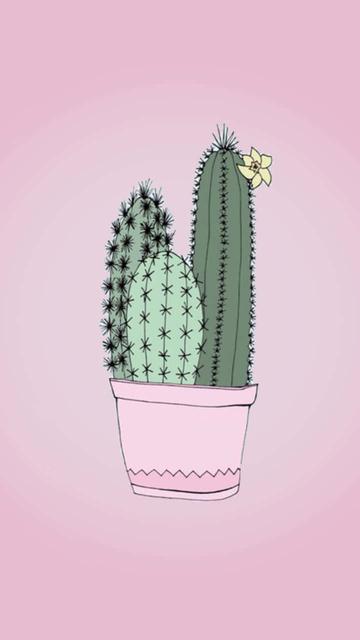 "This Cute Cactus brightens up any space!" Wallpaper