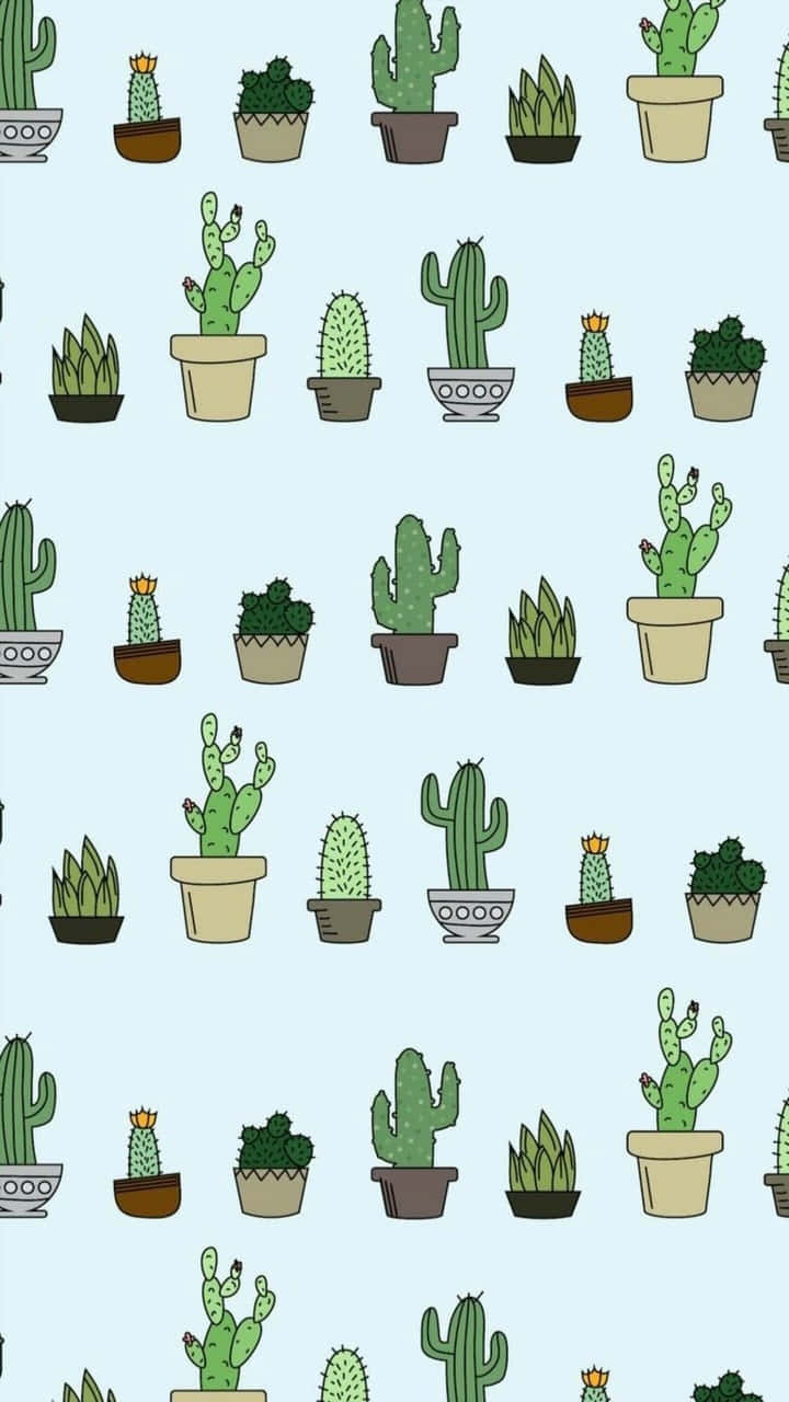 Patrónde Cactus Con Plantas En Macetas Sobre Un Fondo Azul Fondo de pantalla