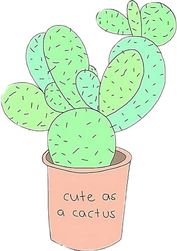 Cute Cactus Tumblr Drawing PNG