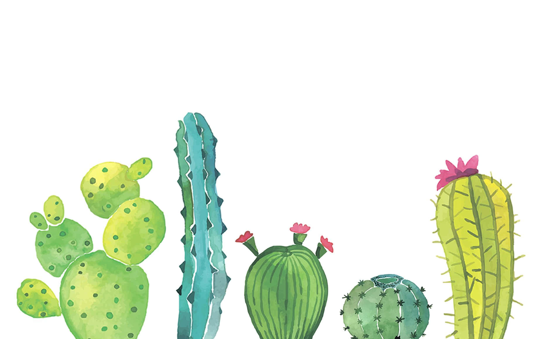 A Watercolor Illustration Of Cactus Plants Wallpaper