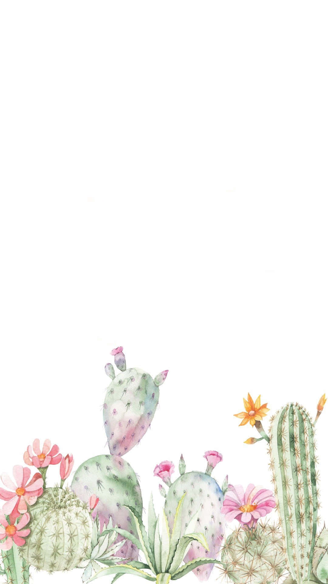 Einniedlicher Kaktus Bereit, Dein Zuhause Aufzuhellen. Wallpaper
