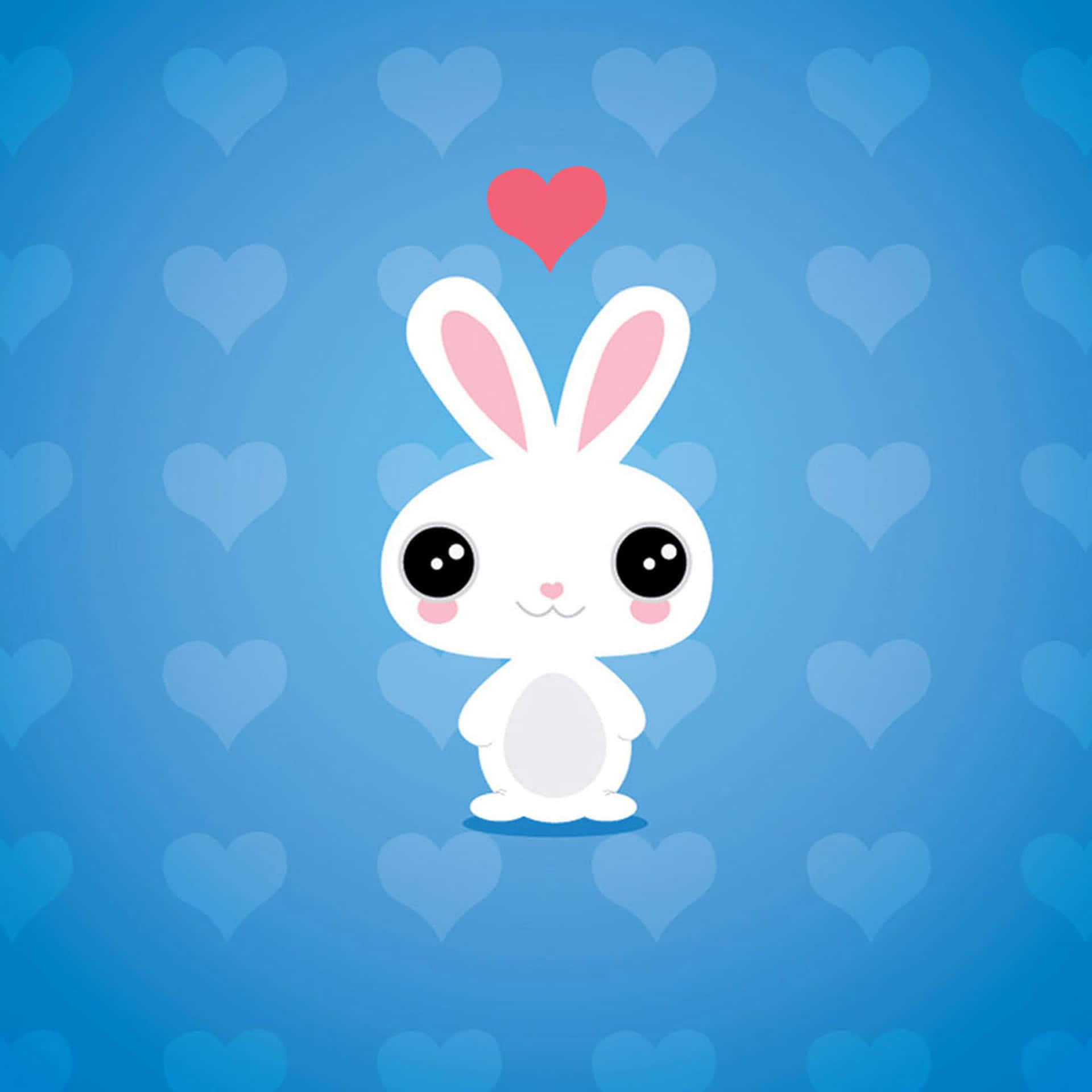 White Rabbit Cute Cartoon Animals Picture