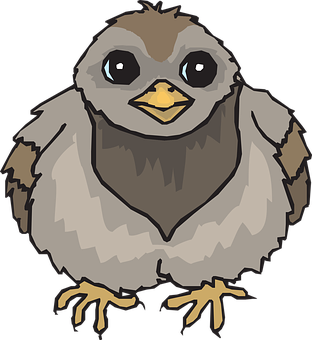 Cute Cartoon Baby Bird PNG