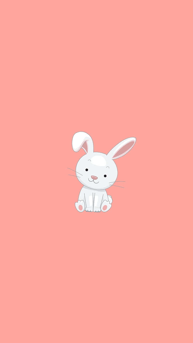 Cute Cartoon Bunny Pink Background Wallpaper