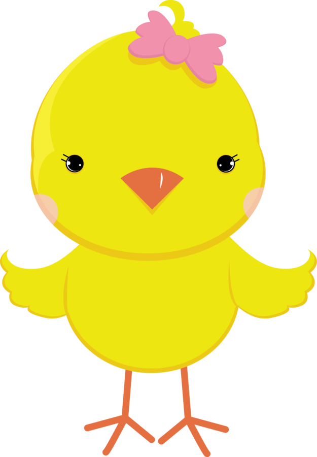 Cute Cartoon Chick Illustration PNG