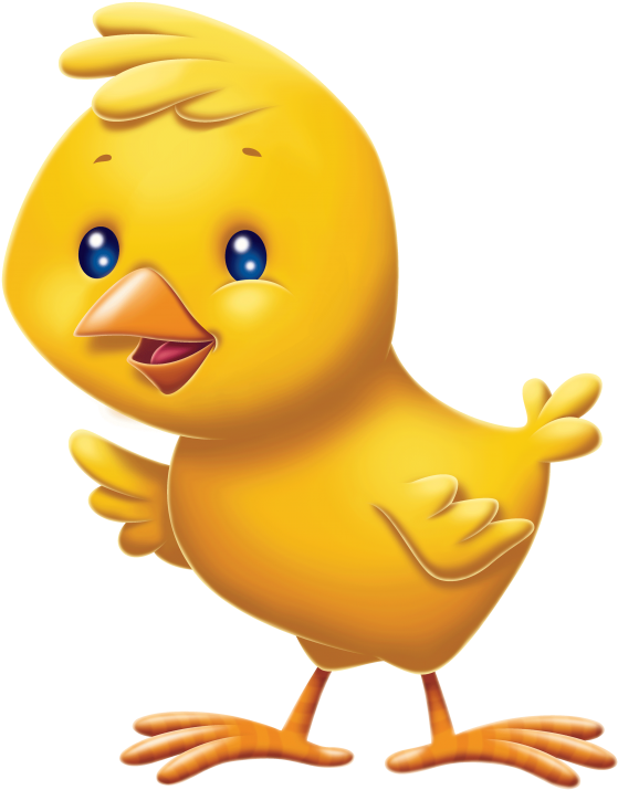 Cute Cartoon Chick Illustration PNG