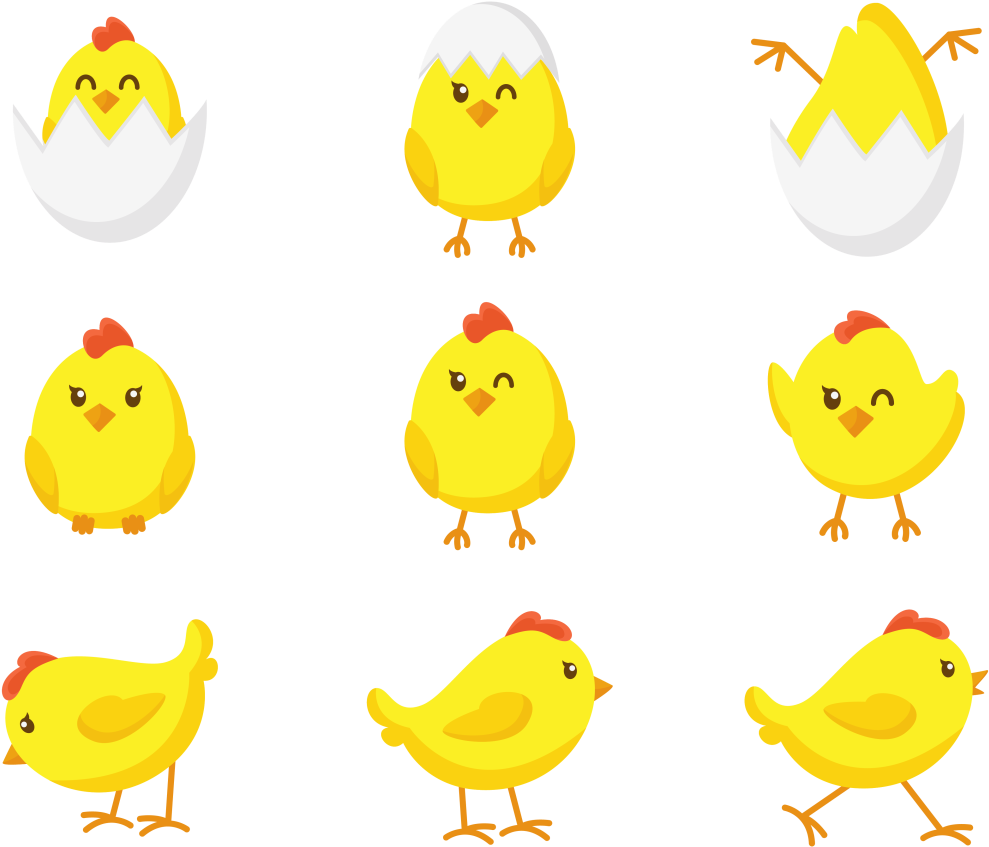 Cute Cartoon Chicks Collection PNG