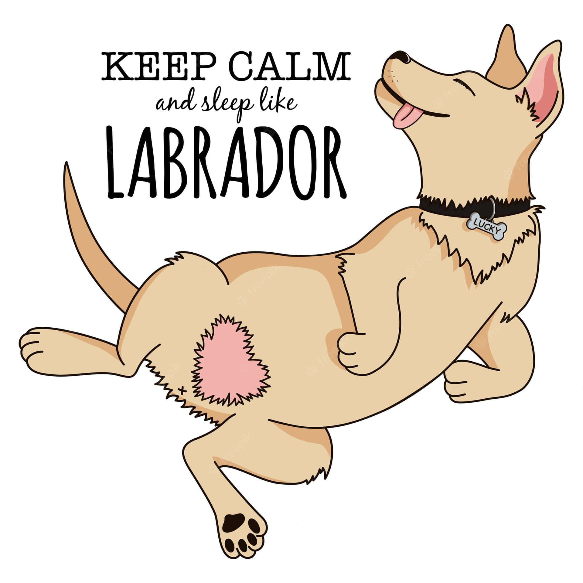 Keep Calm And Sleep The Labrador Wallpaper