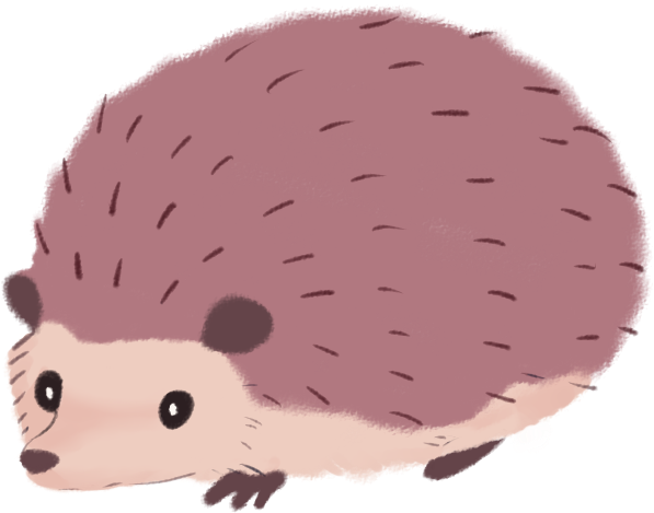 Cute Cartoon Hedgehog PNG