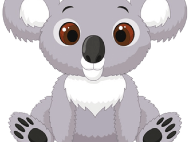 Cute Cartoon Koala PNG