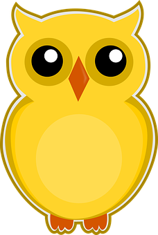 Cute Cartoon Owl Illustration PNG