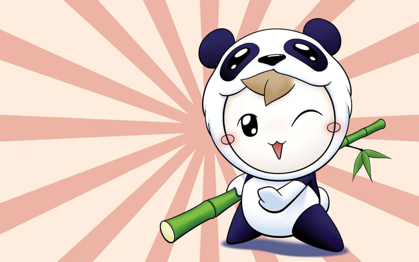 Cute Cartoon Panda Boy Background