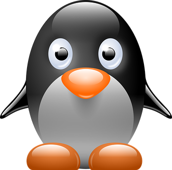 Cute Cartoon Penguin Illustration PNG